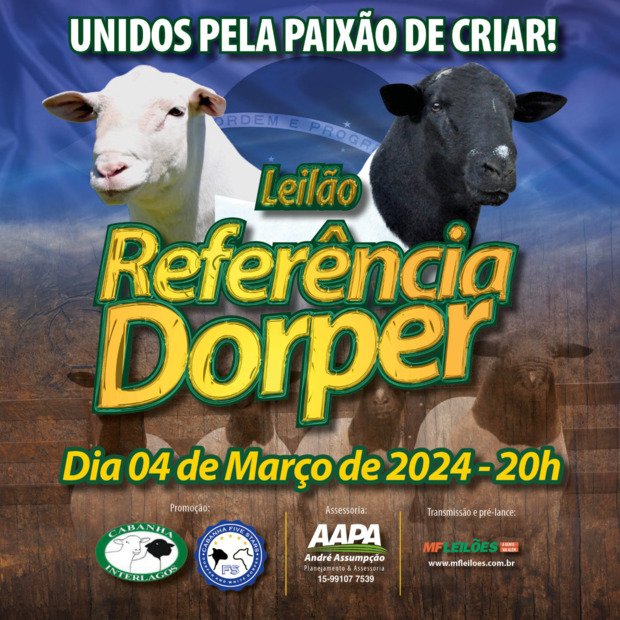 Leilão Reconquista ofertará touros vencedores do CAR e da Expoutono 2022 -  Portal do Agronegócio