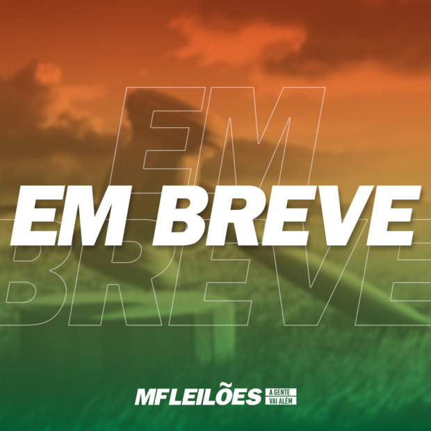 EM BREVE - LEILÃO ST BULLS