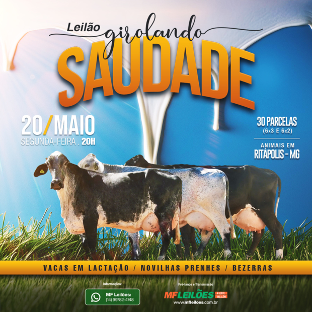 LEILÃO GIROLANDO SAUDADE