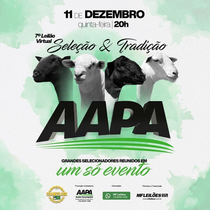 EM BREVE - LEILÃO AAPA SELEÇÃO E TRADIÇÃO EM BREVE - LEILÃO AAPA SELEÇÃO E TRADIÇÃO