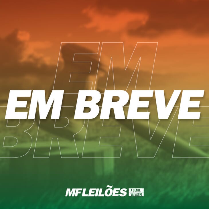 EM BREVE - LEILÃO DE BÚFALO SESMARIA EM BREVE - LEILÃO DE BÚFALO SESMARIA