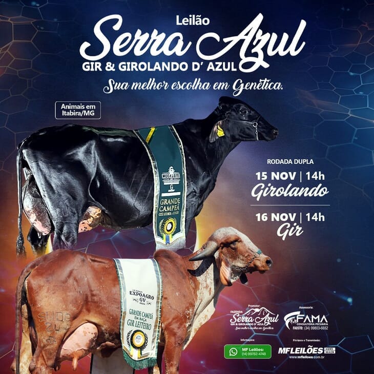 EM BREVE - LEILÃO SERRA AZUL - ETAPA GIR D'AZUL EM BREVE - LEILÃO SERRA AZUL - ETAPA GIR D'AZUL